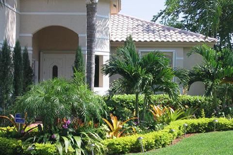 Landscape Design, Landscape Installation, Coral Gables, Miami